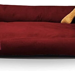 SITSNOOZE Dog Beds and Cat Beds Rectangle Shape Pet Sofa Bed Soft-Anti Skid Washable Scratch Proof for Dogs and Cats Orthopaedic Bed for Sleeping and One Extra Bone Shape Chew Pillow as Gift (Red -M)