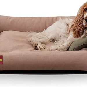 SITSNOOZE Dog Beds and Cat Beds Rectangle Shape Pet Sofa Bed Soft-Anti Skid Washable Scratch Proof for Dogs and Cats Orthopaedic Bed for Sleeping and One Extra Bone Shape Chew Pillow as Gift (Beige-S)