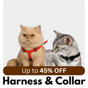 cat collar and harness leash set